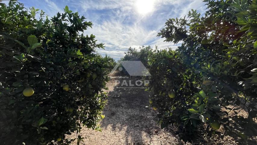 Finca Rústica en venta en La Pobla Llarga de 8616 m2 photo 0