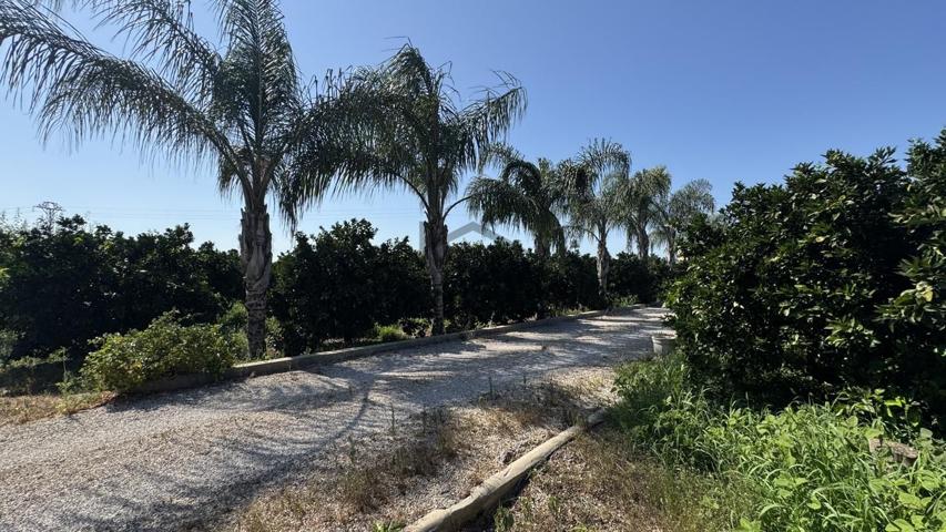 Finca rústica en venta en Carcaixent, Valencia photo 0