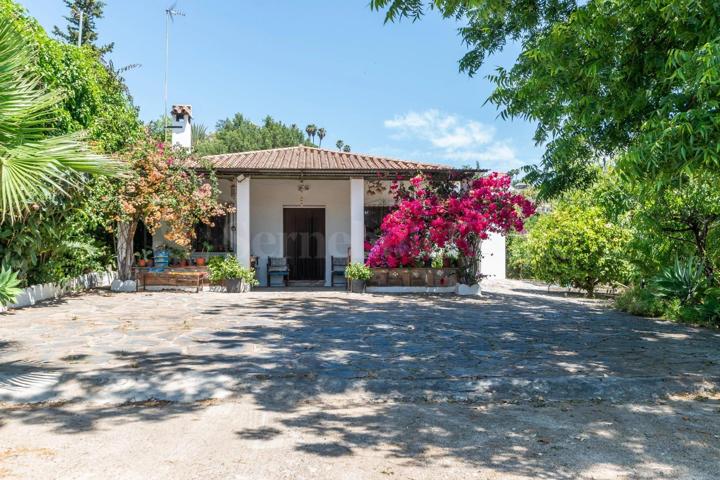 SE VENDE FINCA RÚSTICA EN ESTEPONA - 3.000 M2 DE PARCELA photo 0