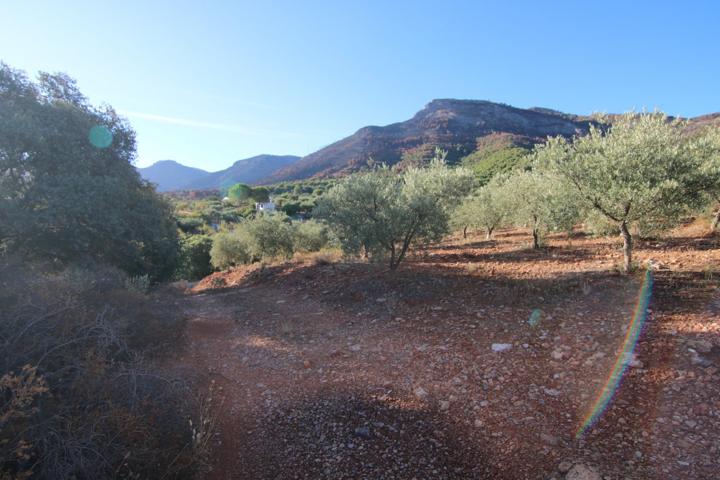 TERRENO RÚSTICO CON VISTAS PANORAMICAS A LA SIERRA DE ALHAURIN EL GRANDE photo 0
