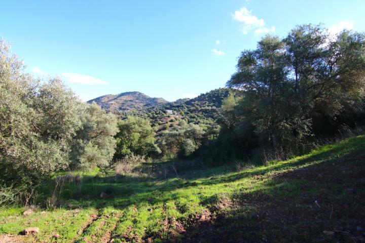 PRECIOSO TERRENO CON VISTAS DESPEJADAS photo 0