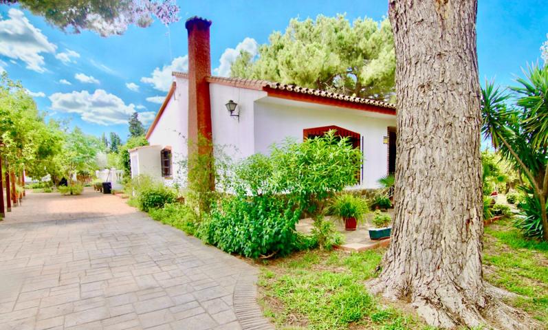 EXCEPCIONAL FINCA RÚSTICA CON VIVIENDA, PISCINA Y EXCELENTE UBICACIÓN EN ALHAURÍN EL GRANDE photo 0