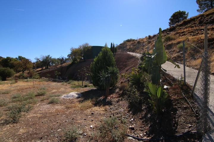 PARCELA RÚSTICA CON PROYECTO TURÍSTICO EN TOLOX – JUNTO AL PARQUE NACIONAL SIERRA DE LAS NIEVES photo 0