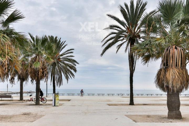 El Poblenou - Obra nueva photo 0