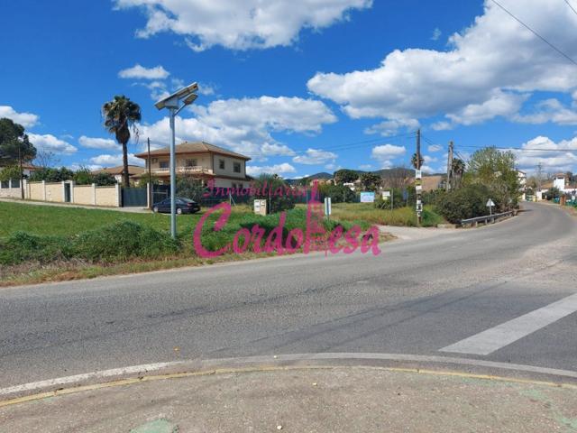 MAGNIFICO TERRENO EN ALCOLEA. URB. LOS AMIGOS photo 0