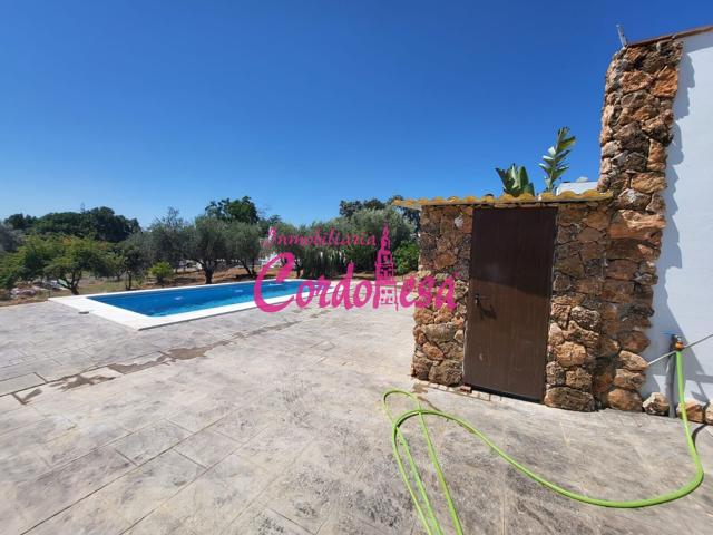 VENDER O ALQUILER DE LARGA TEMPORADA. MAGNIFICO CHALETS CON PISCINA EN ALCOLEA!!! photo 0