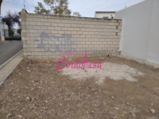 MAGNIFICO SOLAR PARA CONSTRUIR EN SANTA CRUZ, CORDOBA!!! photo 0