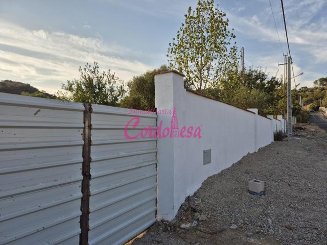 MAGNIFICO TERRENO CON PISCINA EN ALCOLEA. IDEAL PARA HACER SU CASA A SU GUSTO!!! photo 0
