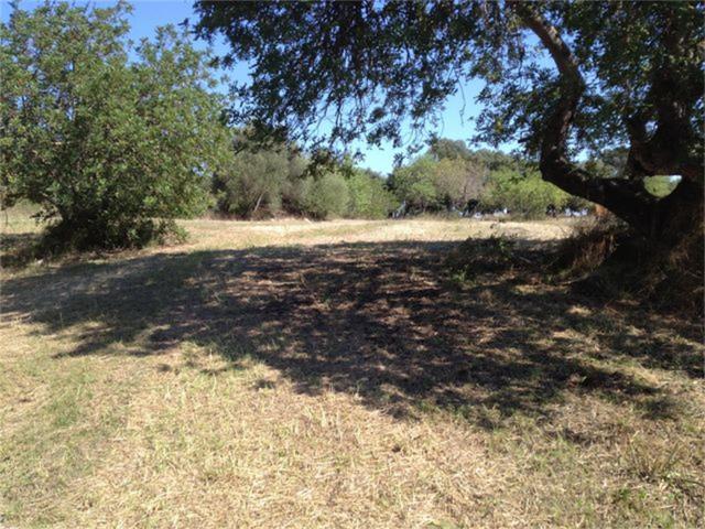 Terreno Rústico en Lloseta photo 0