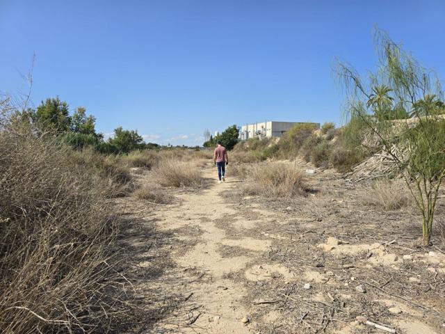 ¡TERRENO A 5 MINUTOS DE ELCHE! photo 0