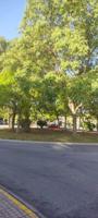 PLAZA DE PARKING EN ZONA NUEVA DEALTABIX EN ELCHE photo 0