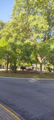 PLAZA DE PARKING EN ZONA NUEVA DEALTABIX EN ELCHE photo 0