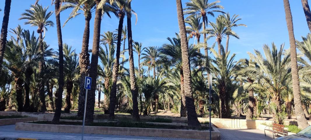 ¡GRAN OPORTUNIDAD! LOCAL EN VENTA A UN PASO DEL CENTRO DE ELCHE photo 0