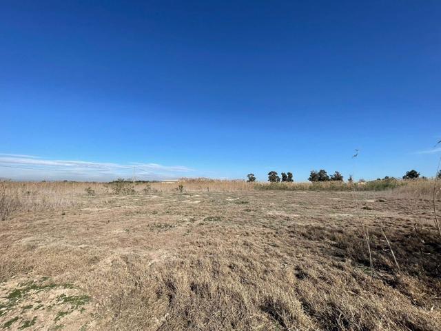 SE VENDE TERRENO AGRARIO EN PARTIDA DERRAMADOR, ELCHE – 8.700 m2 photo 0