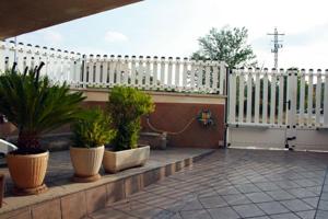 Salón comedor con luz natural, suelo de madera, alfombra. Habitación con luz natural, suelo de baldosas, alfombra, techo alto. Terraza con suelo de baldosas. Pasillo con luz natural, suelo de madera. Escaleras con techo abovedado. Cocina con luz natural, acero inoxidable