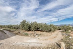 MAGNÍFICA PARCELA CERCANA A CTRA. DE URB. EL TORREÓN photo 0