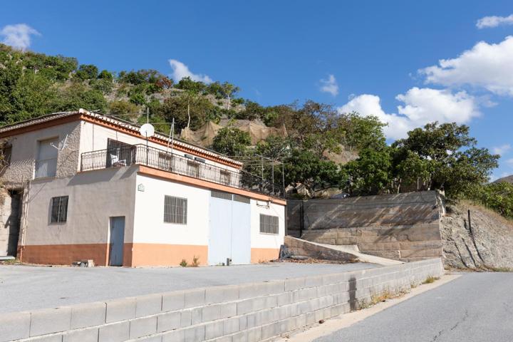 Finca con frutales, vistas y construcciones photo 0