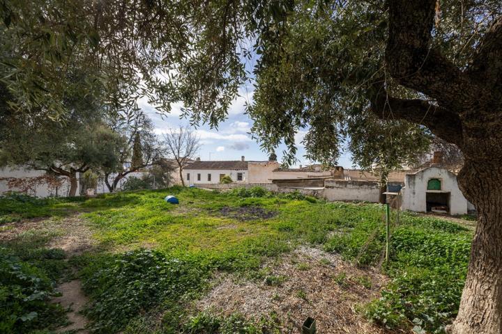 CASA EN PLANTA BAJA CON TERRENO EN ALBAYCÍN photo 0