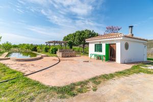 Finca rústica en venta con casa, nave y piscina photo 0