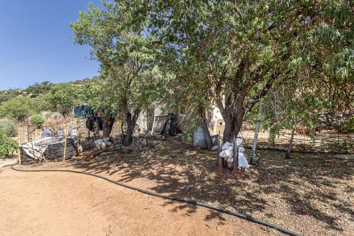 Oportunidad en Montefrío. Dos fincas rústicas con mucho potencial photo 0