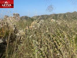 TERRENO DE 40000M2 EN VENTA EN EL PARRILLAR photo 0