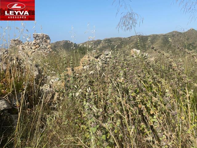 TERRENO DE 40000M2 EN VENTA EN EL PARRILLAR photo 0