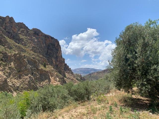 FINCA RUSTICA LANJARON photo 0