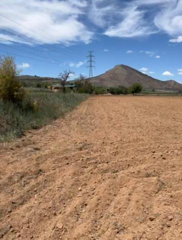 PARCELA RUSTICA EN ALBOLOTE CON POSIBILIDAD DE SEGREGAR EN DOS photo 0