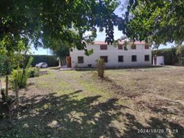 FANTASTICA FINCA DE 6882M2 Y 418 DE VIVIENDA photo 0