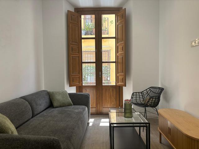 MAGNÍFICO APARTAMENTO EN EL CORAZON DE GRANADA photo 0