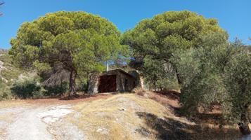 Fantástico cortijo con pozo legalizado y alberca photo 0