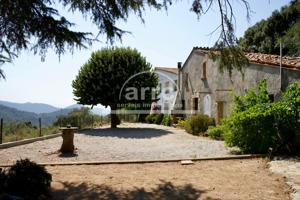 Finca CAL CAMAT – Un lugar con alma y potencial ilimitado. photo 0
