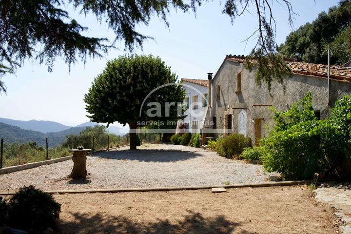 Finca CAL CAMAT – Un lugar con alma y potencial ilimitado. photo 0