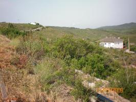 Terreno urbano en, La Bisbal del Penedes photo 0