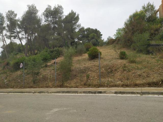 GRAN PARCELA EN AVINYONET DEL PENEDÉS photo 0