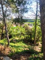 PARCELA EN CANYELLES CENTRO photo 0