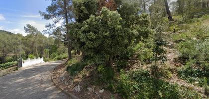 FANTÁSTICA PARCELA EN VORA-SITGES CANYELLES photo 0