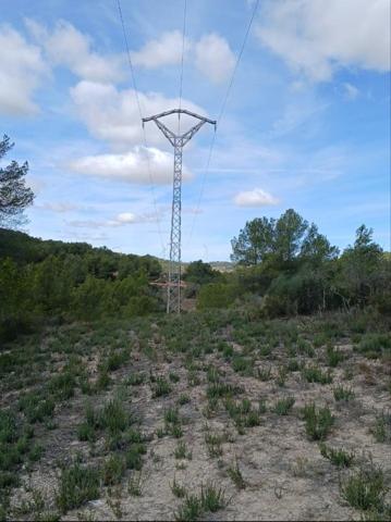 FINCA RÚSTICA DE 81.401 M2 EN CORBERA D´EBRO photo 0