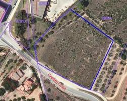 SUELO EN MONT-ROIG DEL CAMP L´EIXAMPLE photo 0