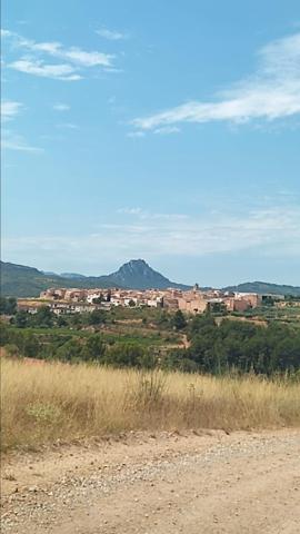 FINCA RÚSTICA A 1 KM DEL PUEBLO photo 0