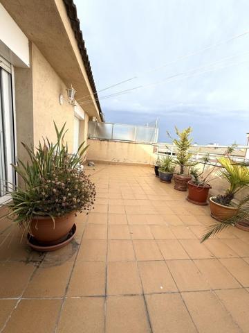 Bonic Duplex!! photo 0