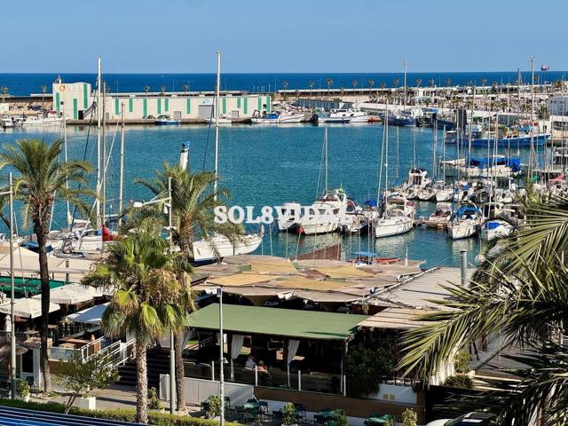 Primera línea de playa, frente al club náutico. El mejor piso de Torrevieja. photo 0
