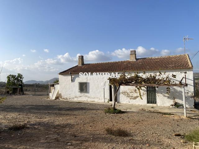 CASA CON PARCELA DE 25.000 M2 EN TORREMENTO CASA EN ZONA TRANQUILA EN TORREMENSO, CERCA DEL PANTANO photo 0