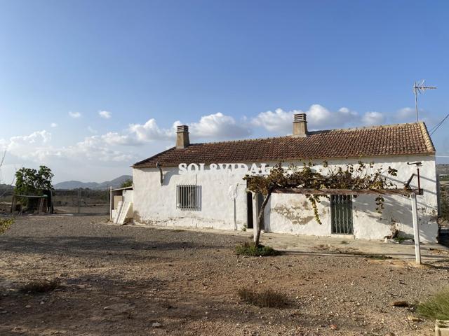 CASA CON PARCELA DE 25.000 M2 EN TORREMENTO CASA EN ZONA TRANQUILA EN TORREMENSO, CERCA DEL PANTANO photo 0