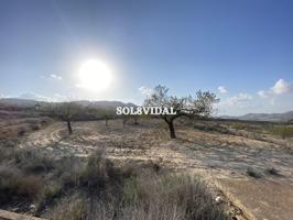 🏡 Casa con Parcela de 25.000 m² en Torremendo – Oportunidad Única en Entorno Natural photo 0