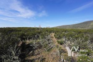 Terreno Urbanizable En venta en 1, 0, Campillo De Ranas photo 0