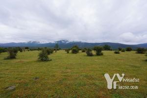 Terreno Urbanizable En venta en Sin Número, 0, Campillo De Ranas photo 0