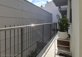 SEMINOU ANY 2019 AL CARRER DR.ULLES ENTRE EL PARC DE SANT JORDI I LA RAMBLA photo 0