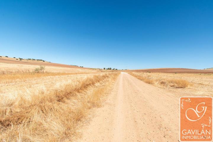 Terreno en venta en Daganzo de Arriba de 126609 m2 photo 0