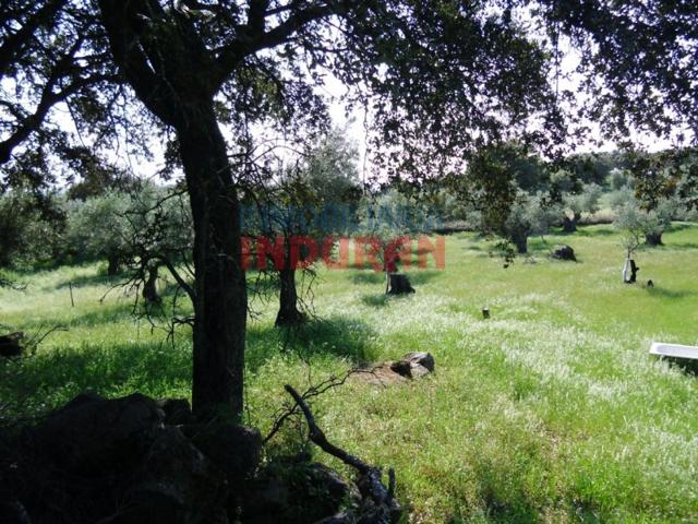 Otro En venta en Belvís De Monroy photo 0